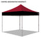 Central Washington University Colored 10x10