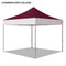 Chadron State College Colored 10x10