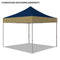 Charleston Southern University Colored 10x10