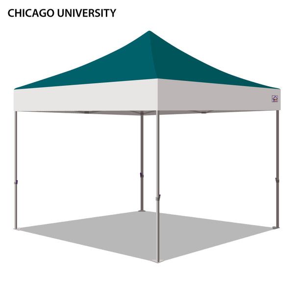 Chicago State University Colored 10x10