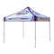 Custom 10x10 Canopy