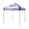 Custom 8x8 Canopy